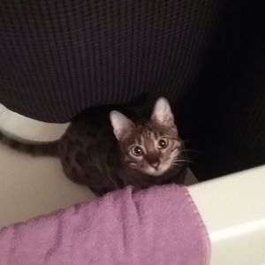 Meet your Posher, Stacey